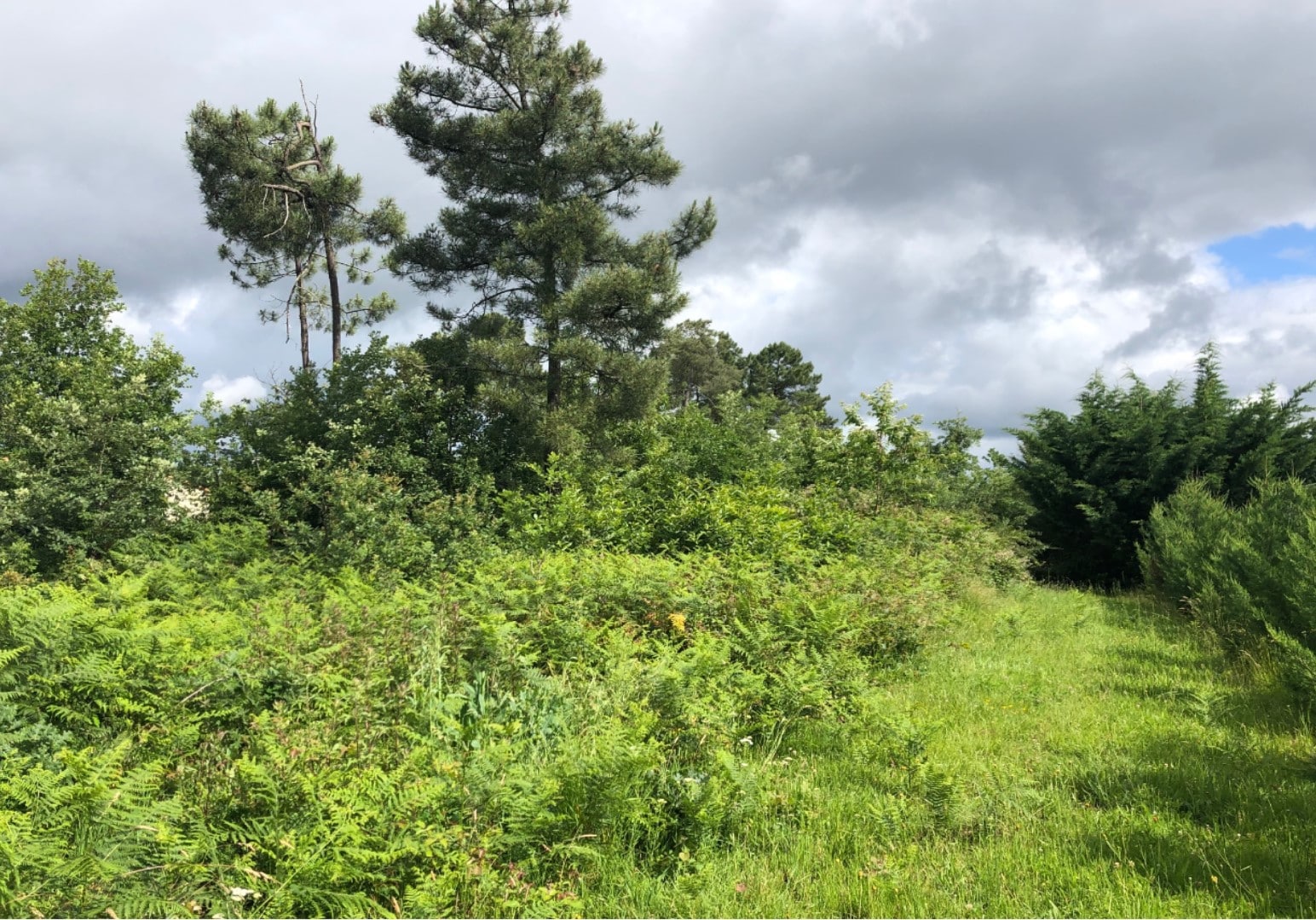 Maison + Terrain de 1 850 m2  à Albussac