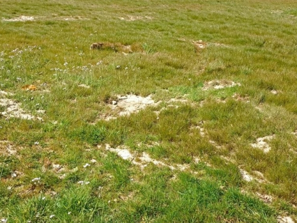 Terrain de 383m² à vendre à Arthon-en-Retz (44)