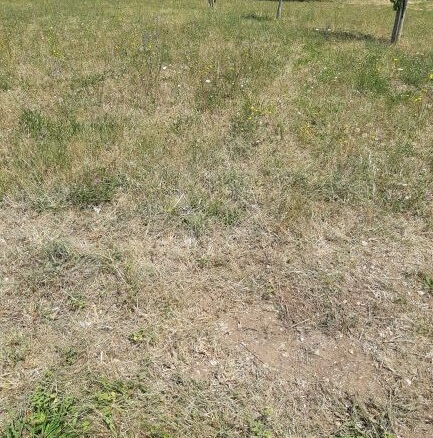Terrain de 350m² à vendre à Arthon-en-Retz (44)