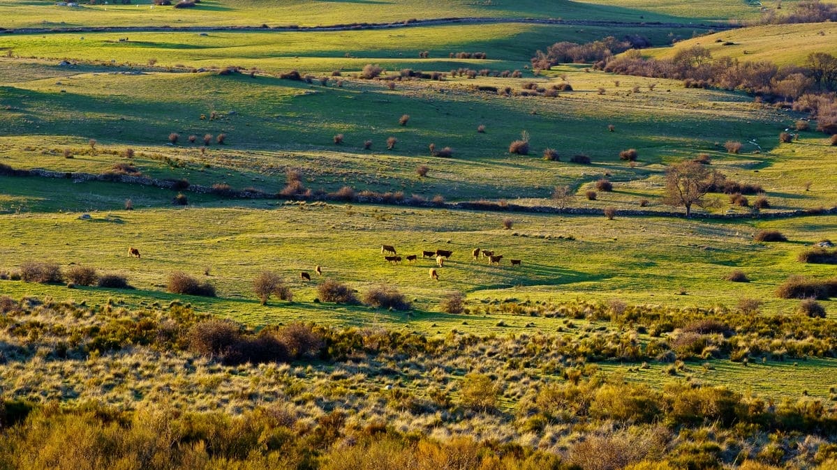 terrains-a-vendre-vue-aerienne-4