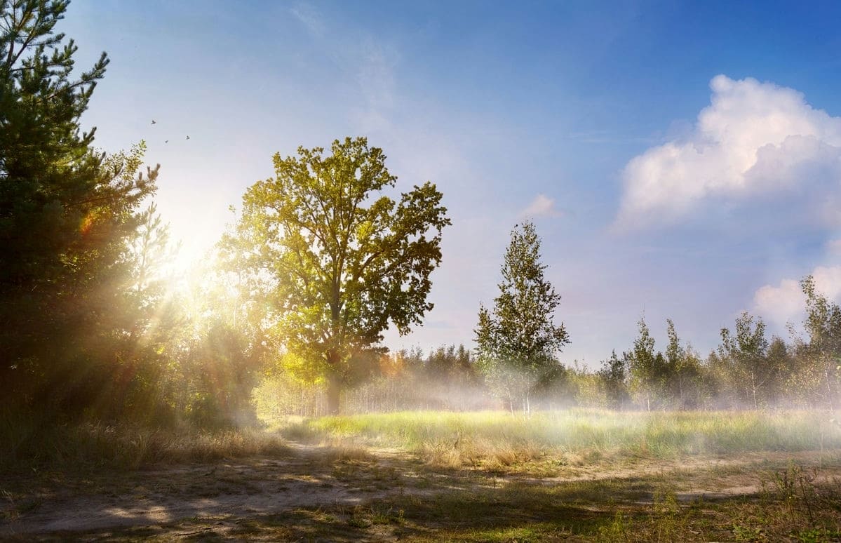 terrains-a-vendre-vue-paysage-17