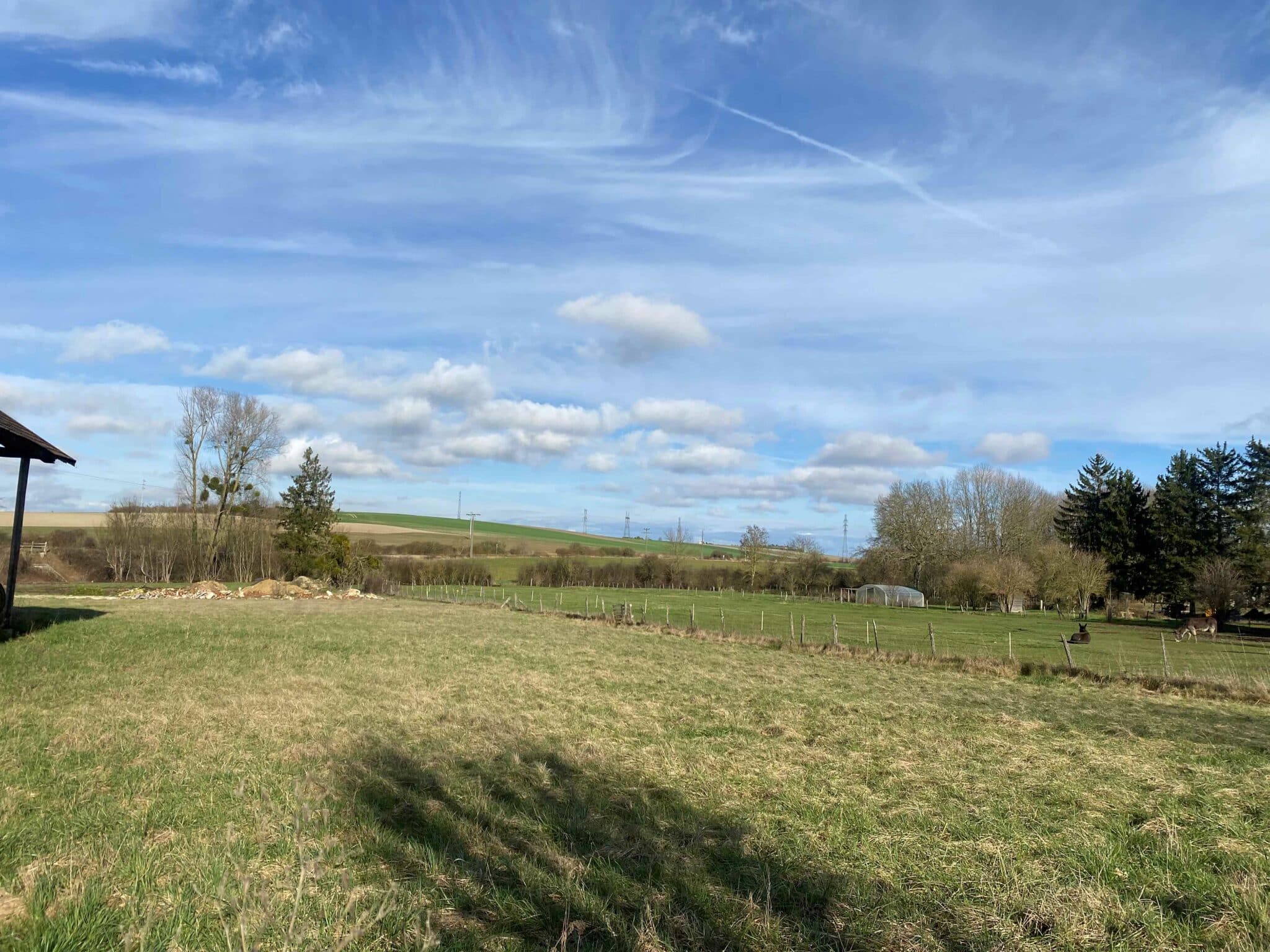 Terrain de 1 000m² à vendre à Thennelières (10)