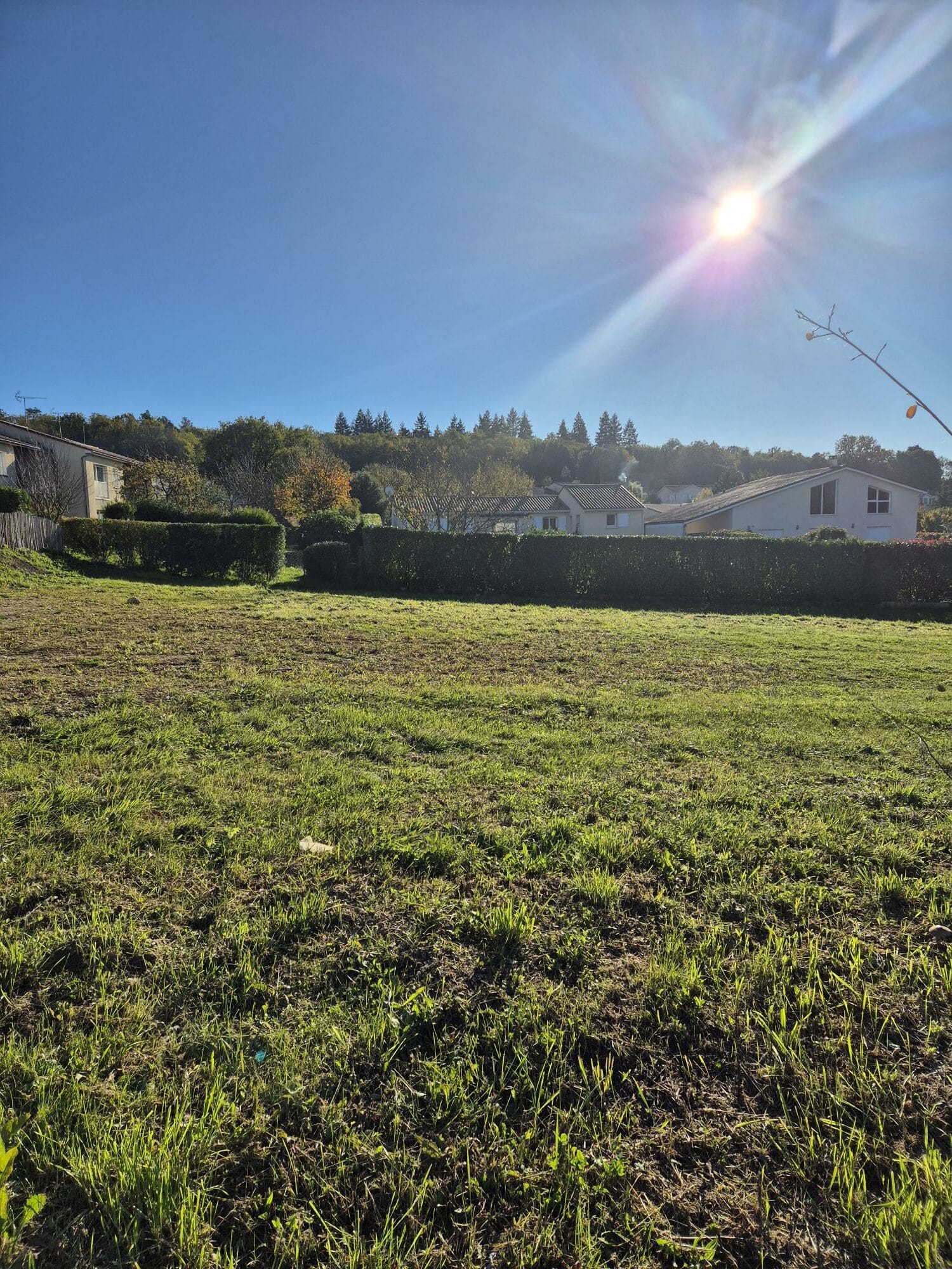 Terrain de 592m² à vendre à Mornac (16)