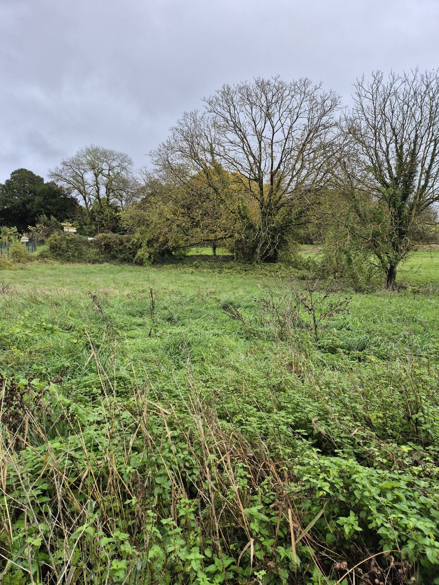Terrain de 1 800m² à vendre à Champagne-Vigny (16)