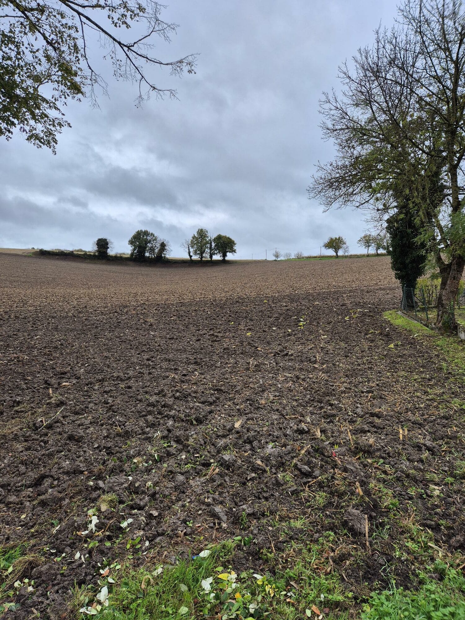 Terrain de 2 500m² à vendre à Champagne-Vigny (16)