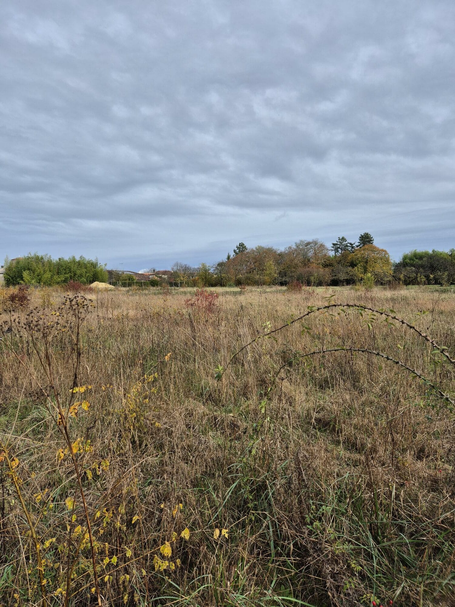 Terrain de 824m² à vendre à Foussignac (16)
