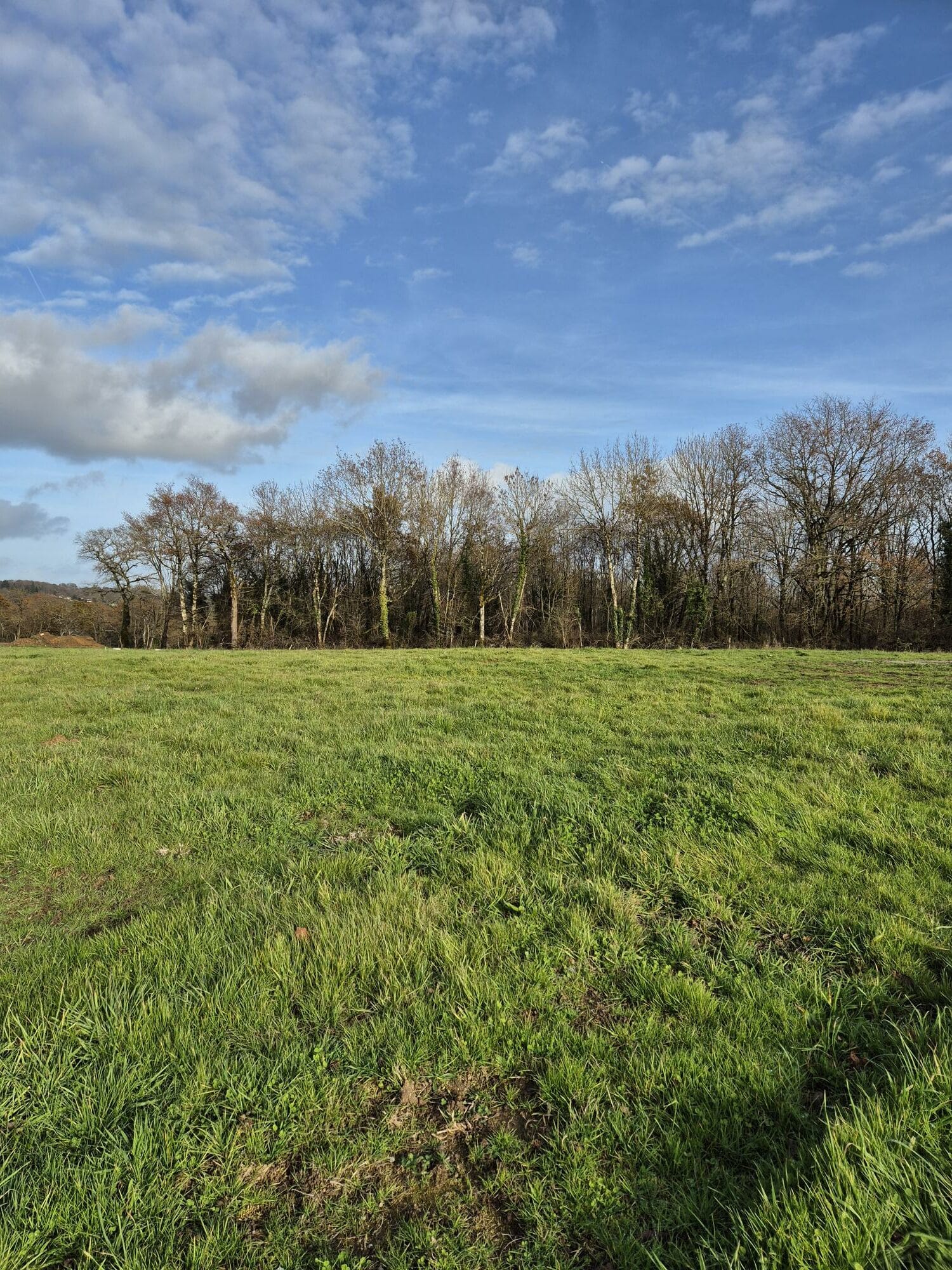 Terrain de 1 824m² à vendre à Confolens (16)