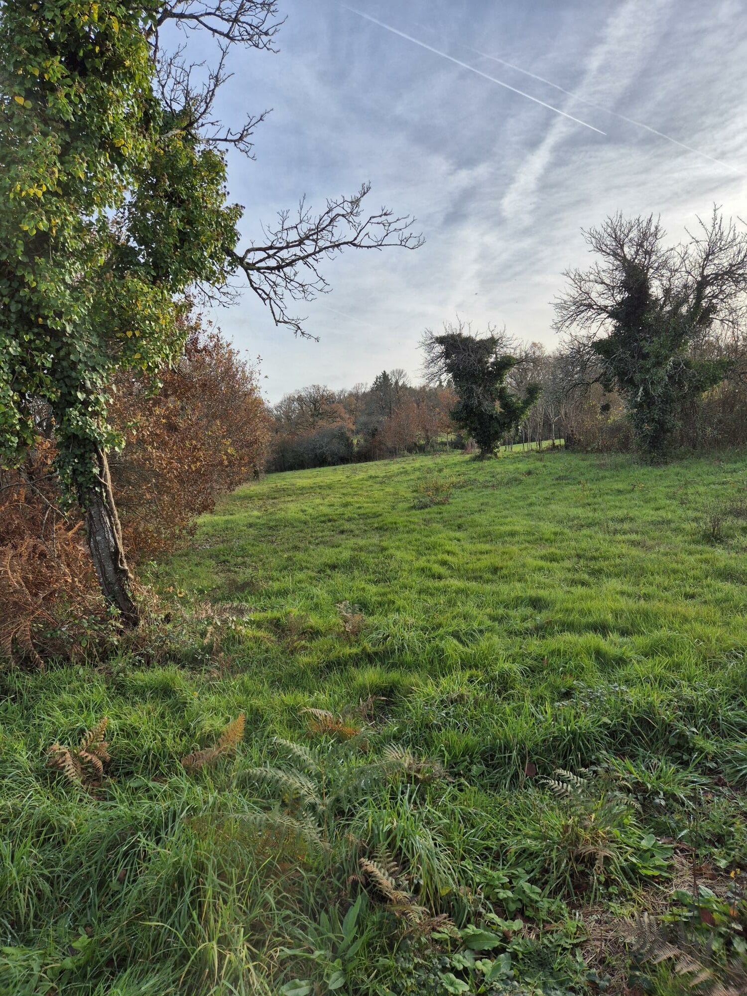 Maison + Terrain de 3 521 m2  à Lessac