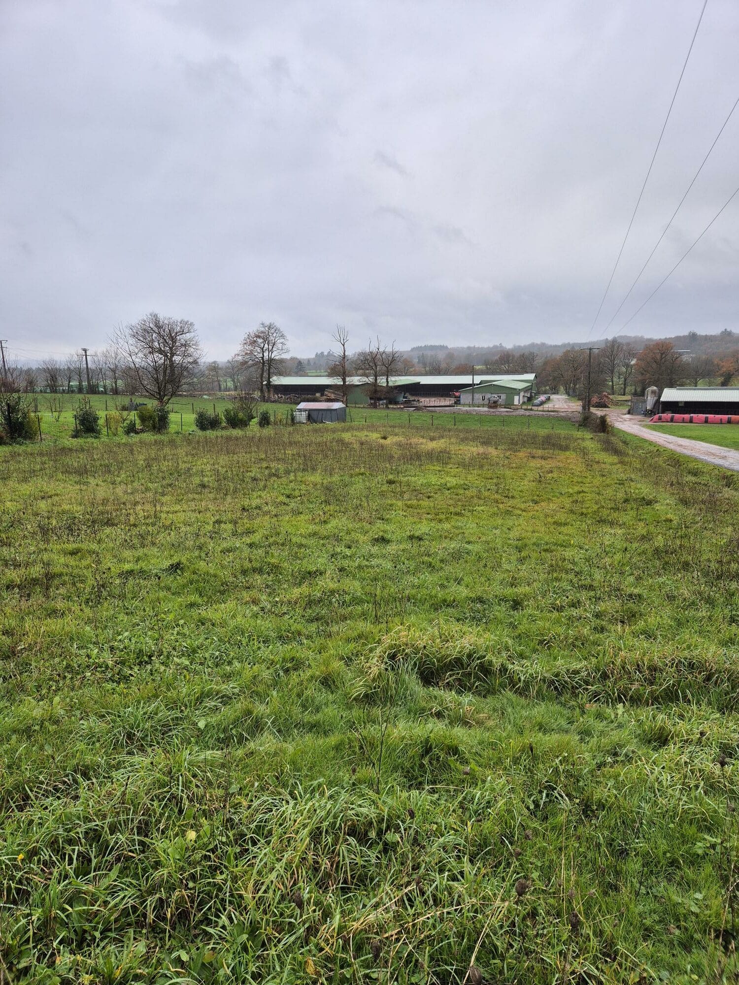 Maison + Terrain de 1 547 m2  à Chabanais