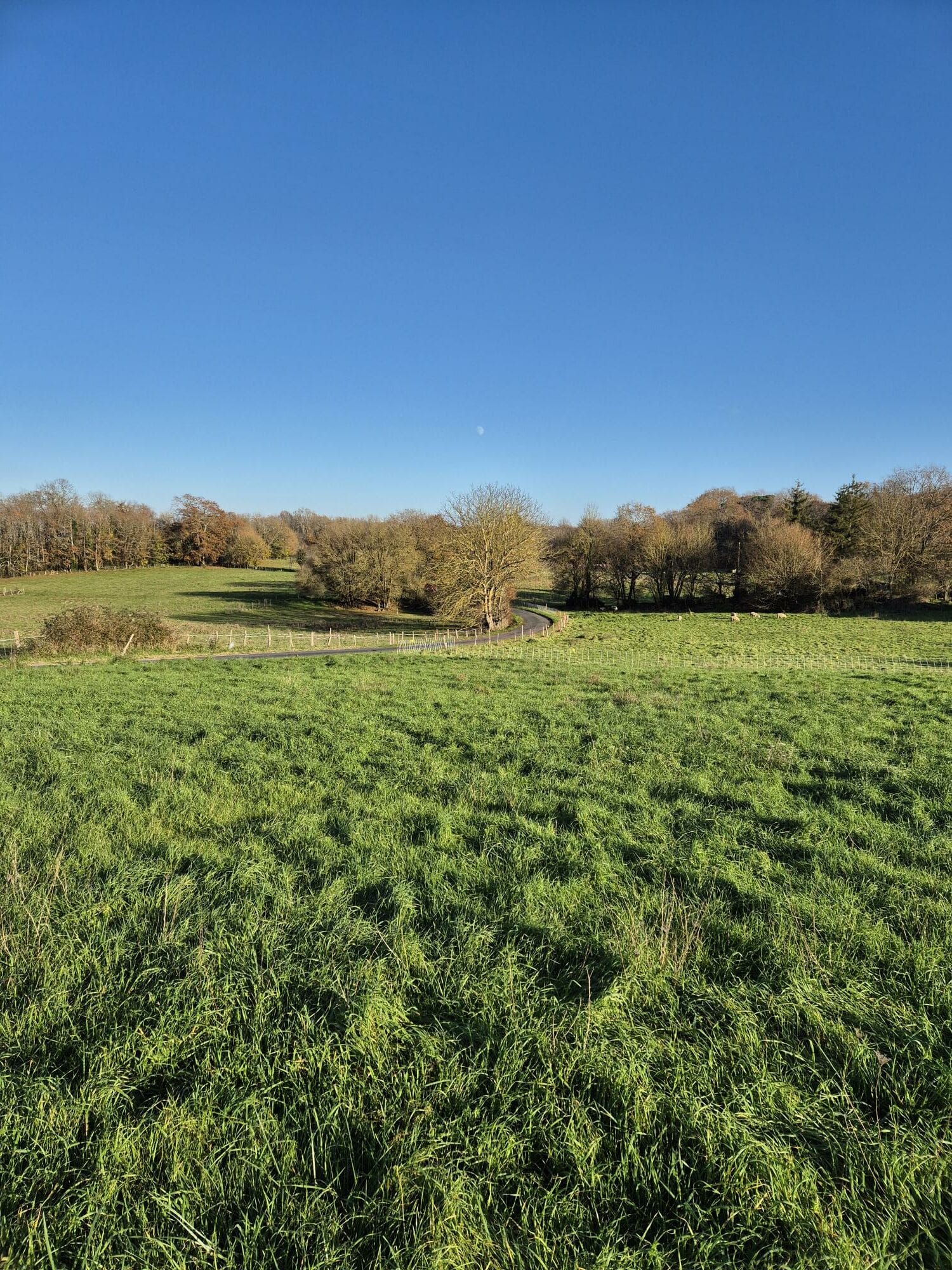 Maison + Terrain de 1 290 m2  à La Rochefoucauld
