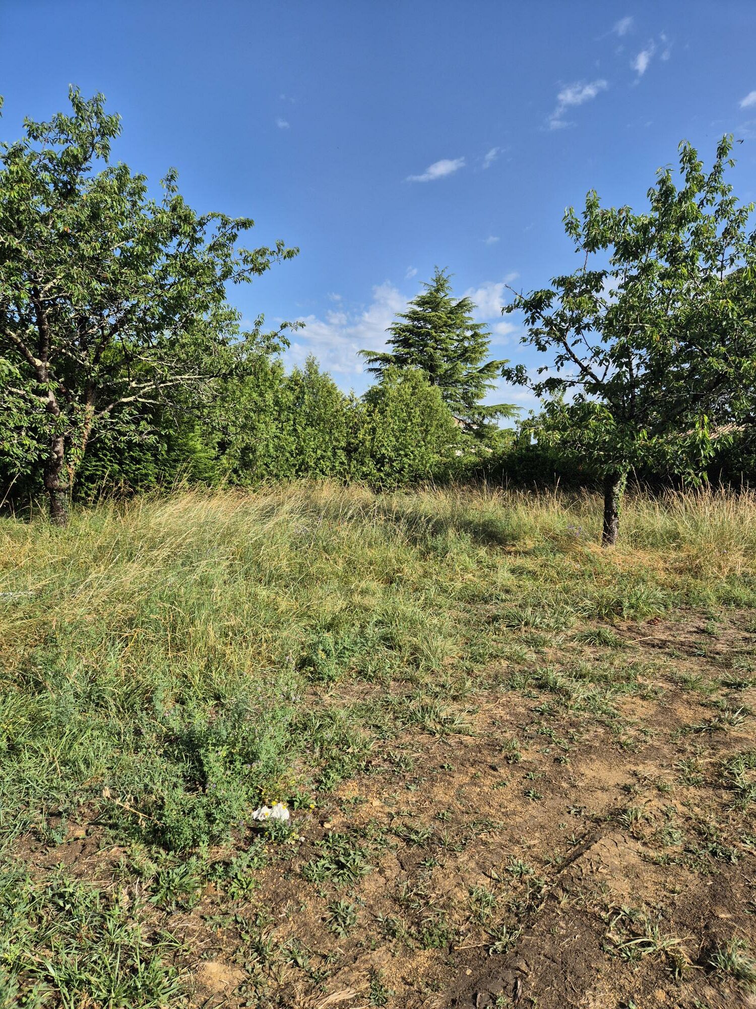 Maison + Terrain de 583 m2  à L’Isle-d’Espagnac