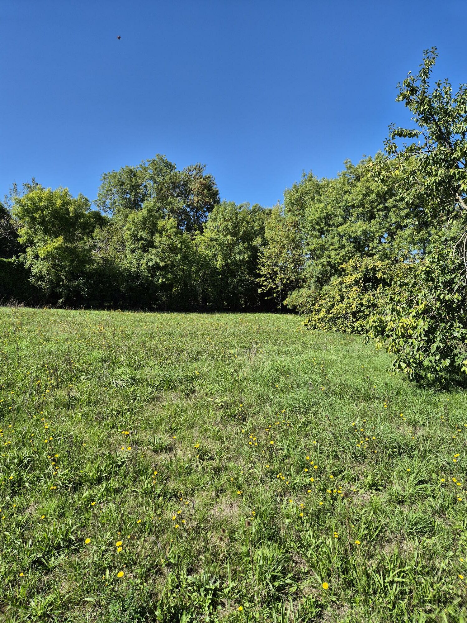 Terrain de 804m² à vendre à Saint-Germain-sous-Doue (77)