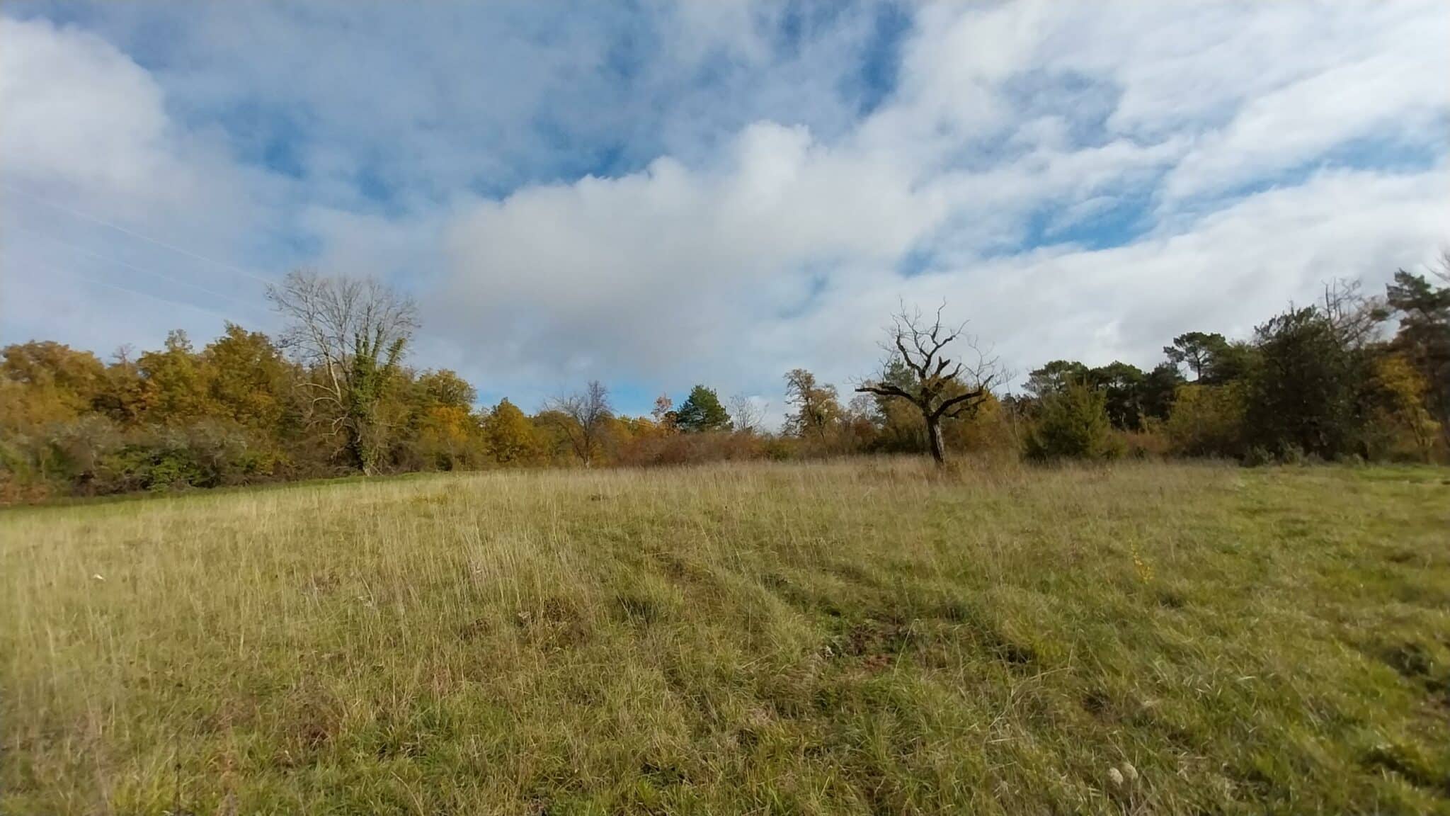 Terrain de 1 500m² à vendre à Atur (24)