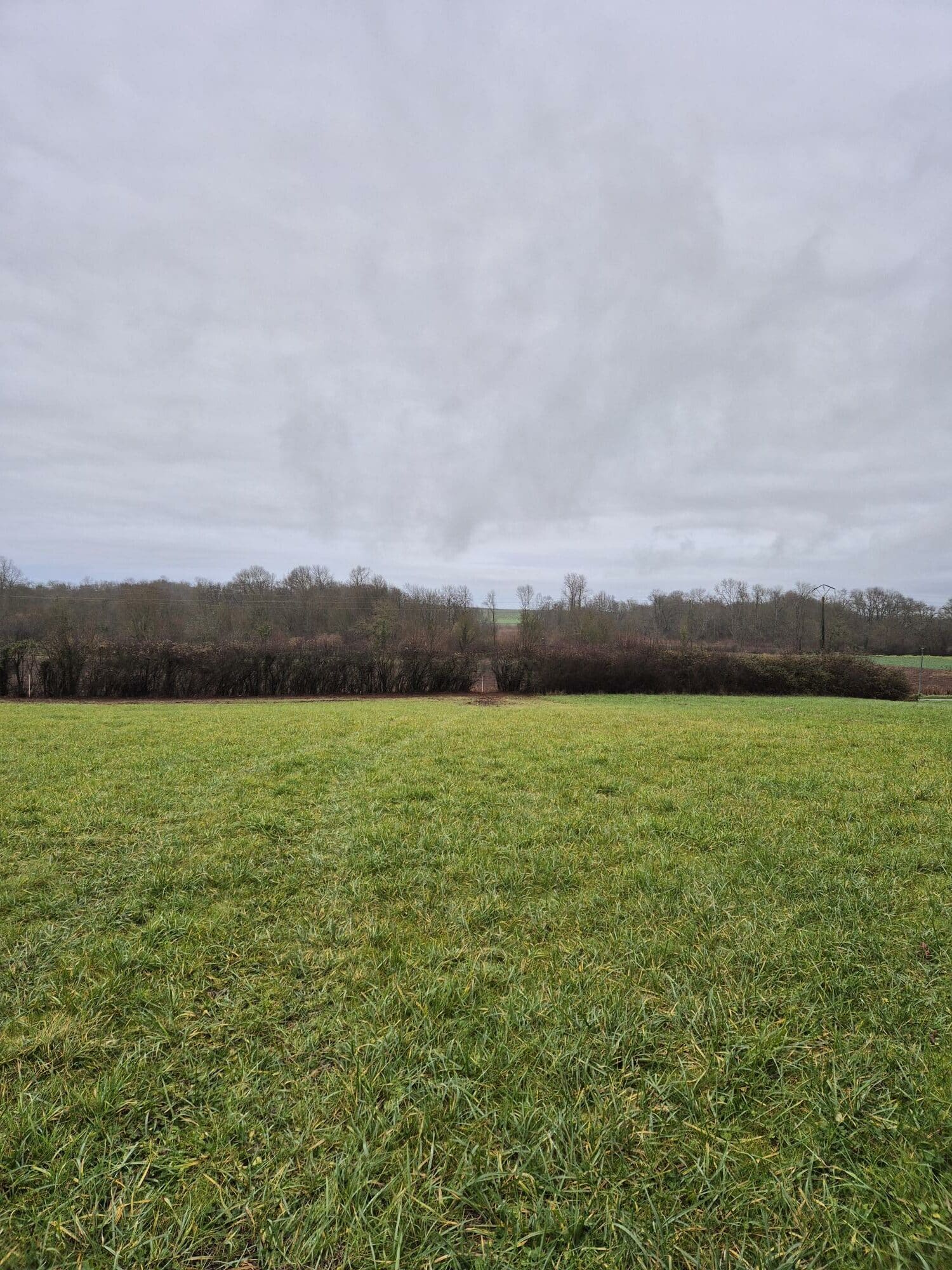 Terrain de 2 741m² à vendre à Genac (16)
