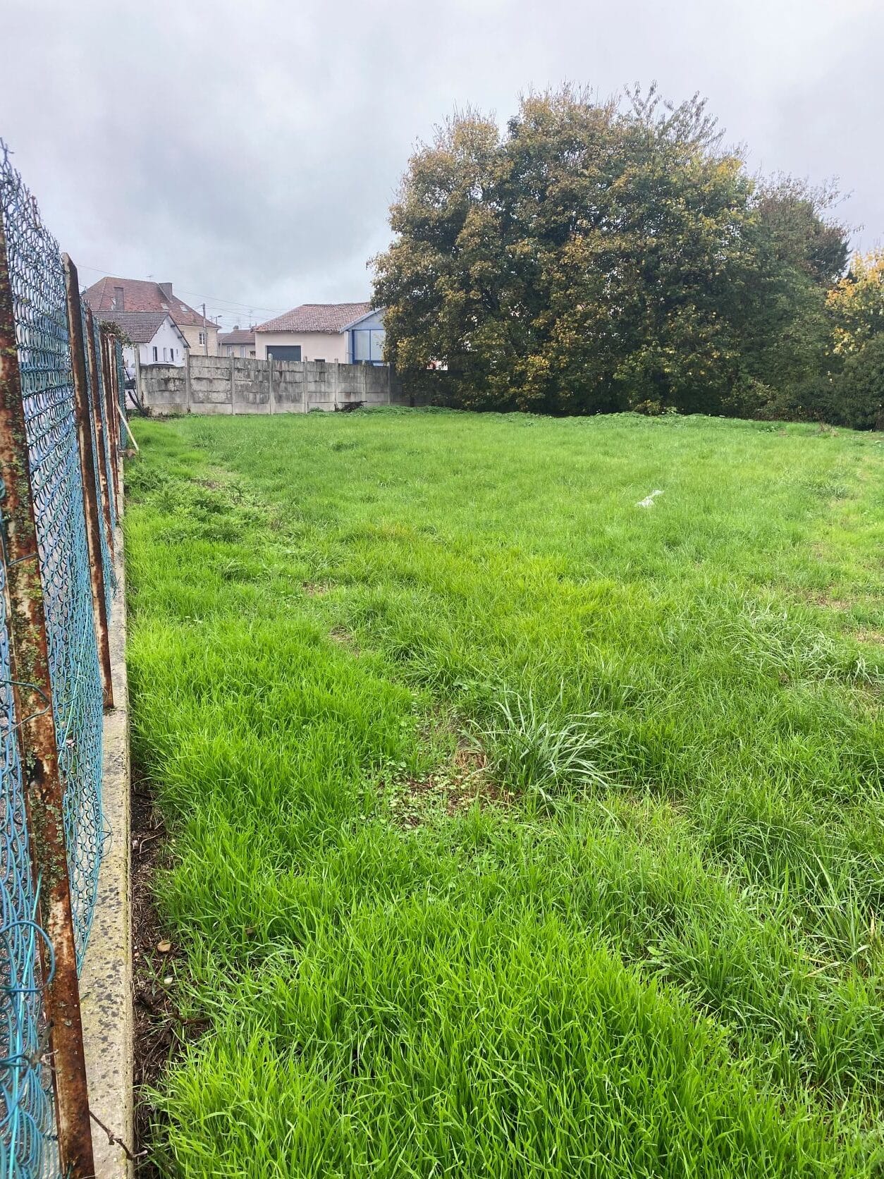 Terrain de 1 515m² à vendre à Brienne-le-Château (10)