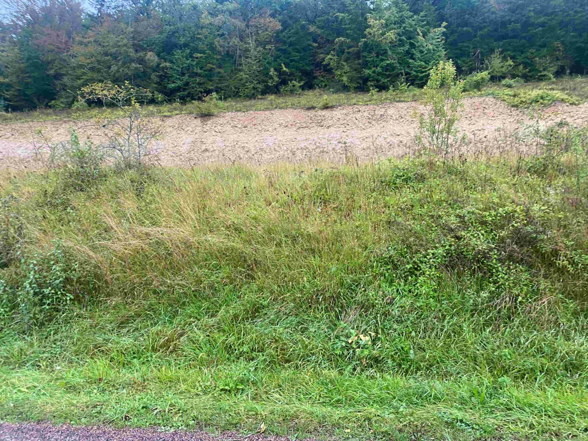Terrain de 1 000m² à vendre à Thors (10)