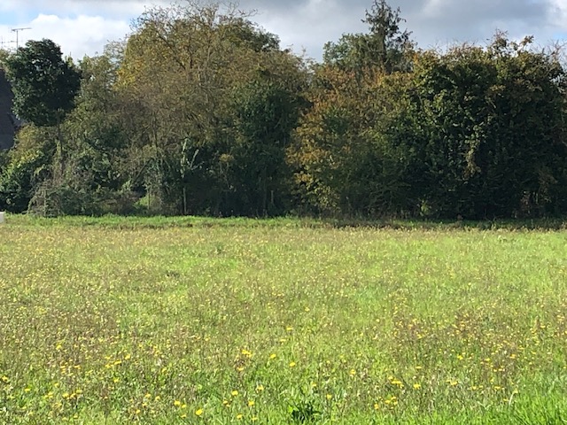 Maison + Terrain de 520 m2  à Noyant-de-Touraine