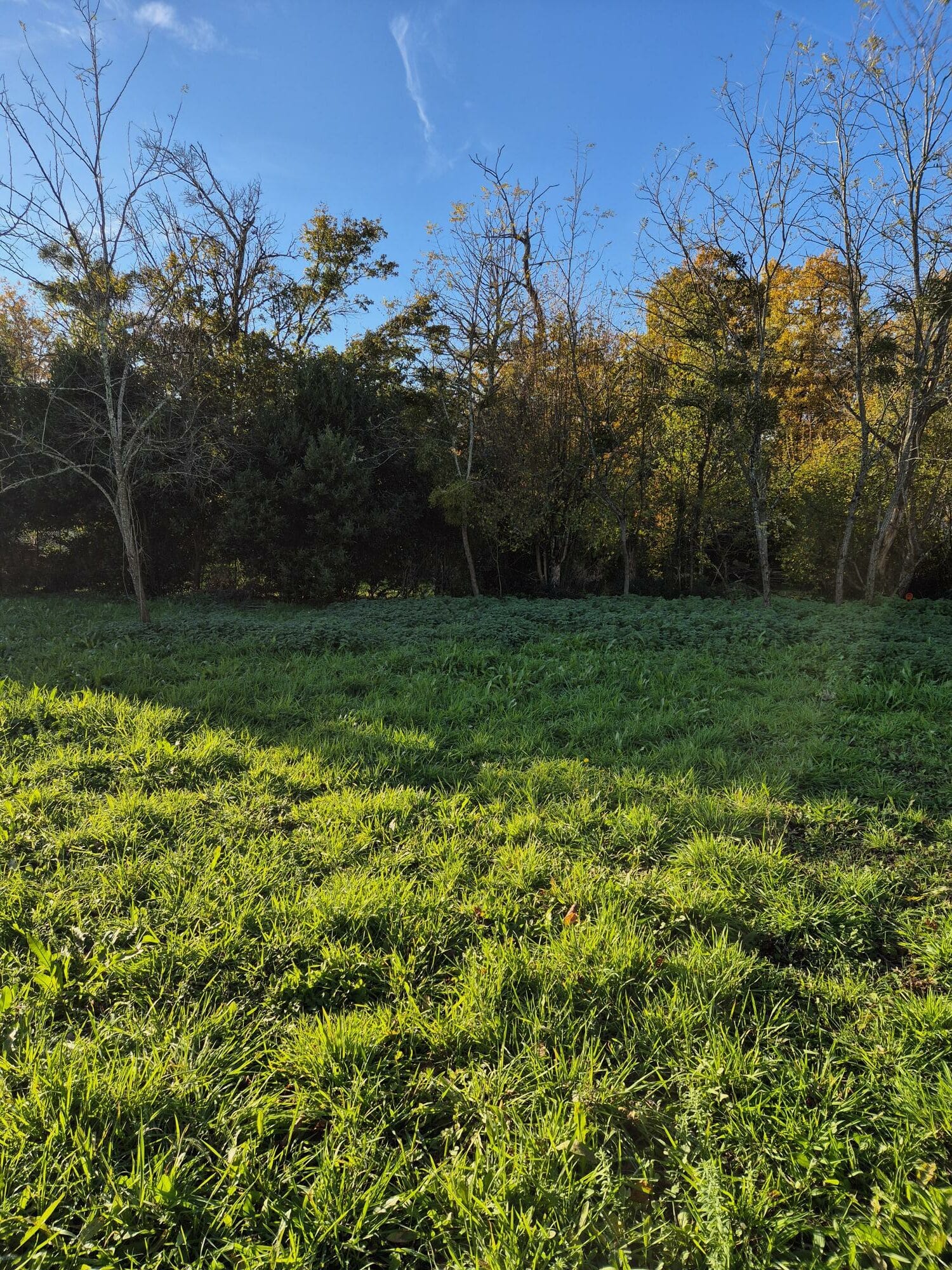 Terrain de 575m² à vendre à Saint-Yrieix-sur-Charente (16)