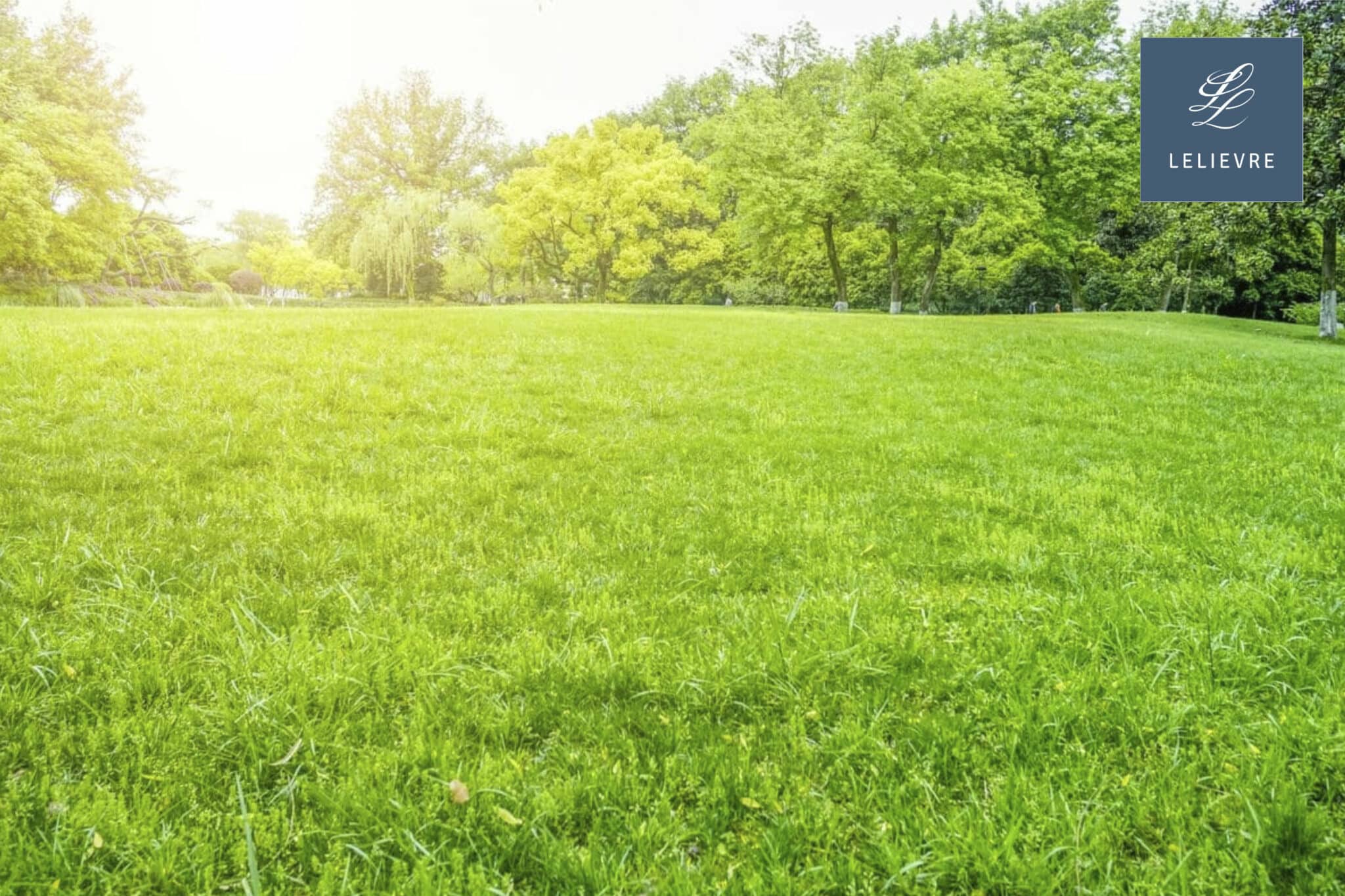 Maison + Terrain de 800 m2  à Athée-sur-Cher
