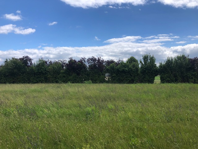 Maison + Terrain de 2 500 m2  à Saint-Laurent-de-Lin