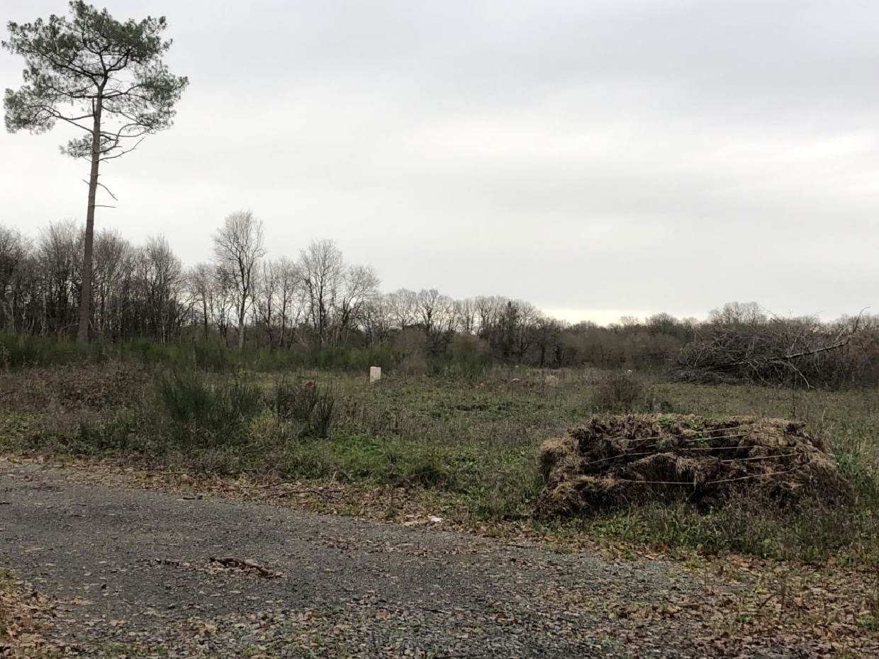Terrain de 942m² à vendre à Verrie (49)
