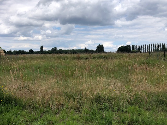 Maison + Terrain de 675 m2  à Suèvres
