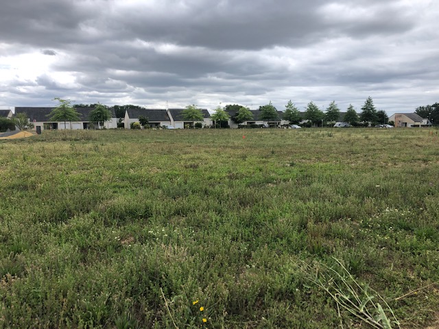 Maison + Terrain de 736 m2  à Bourgueil