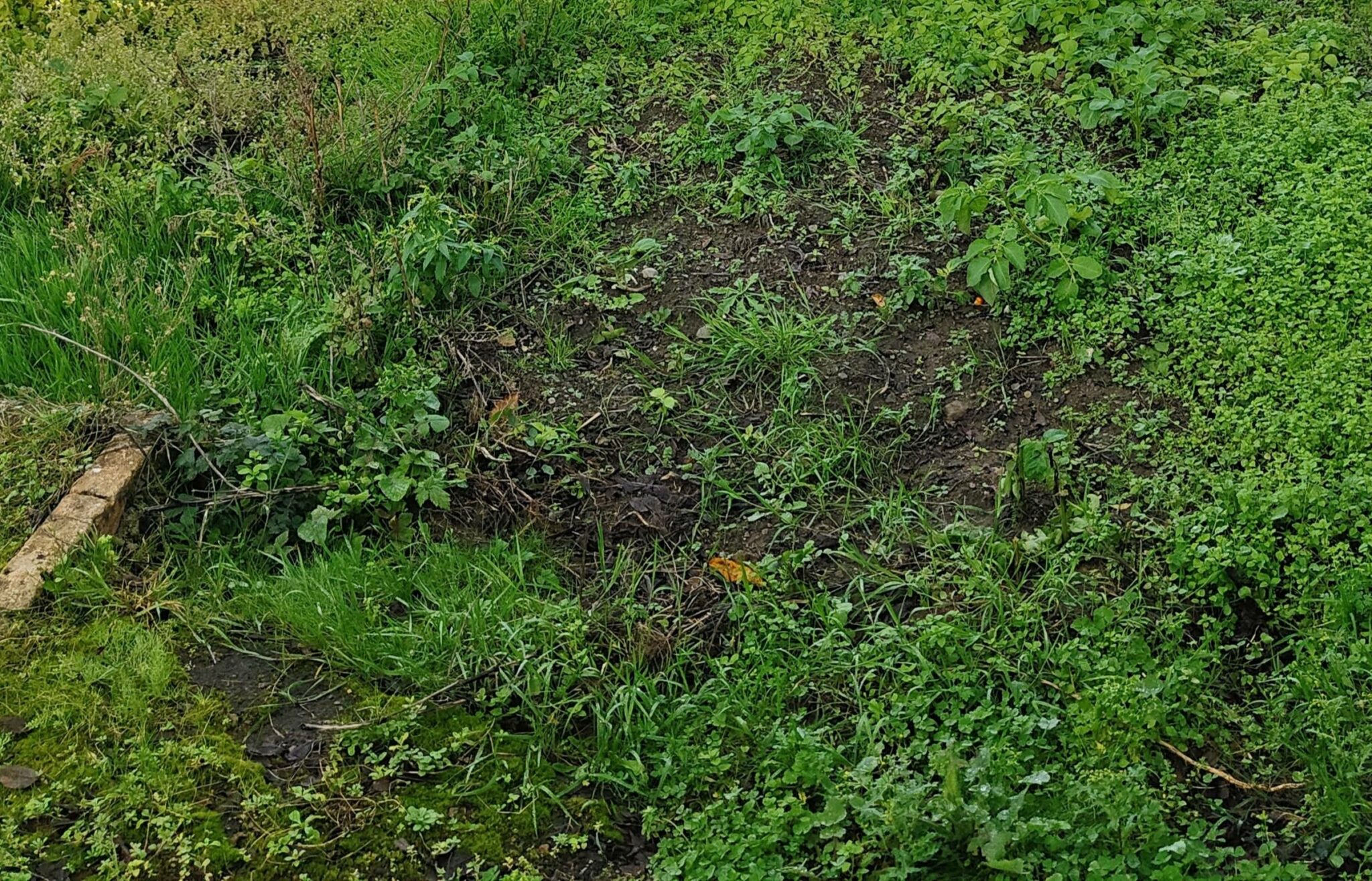Terrain de 349m² à vendre à Bourgneuf-en-Retz (44)