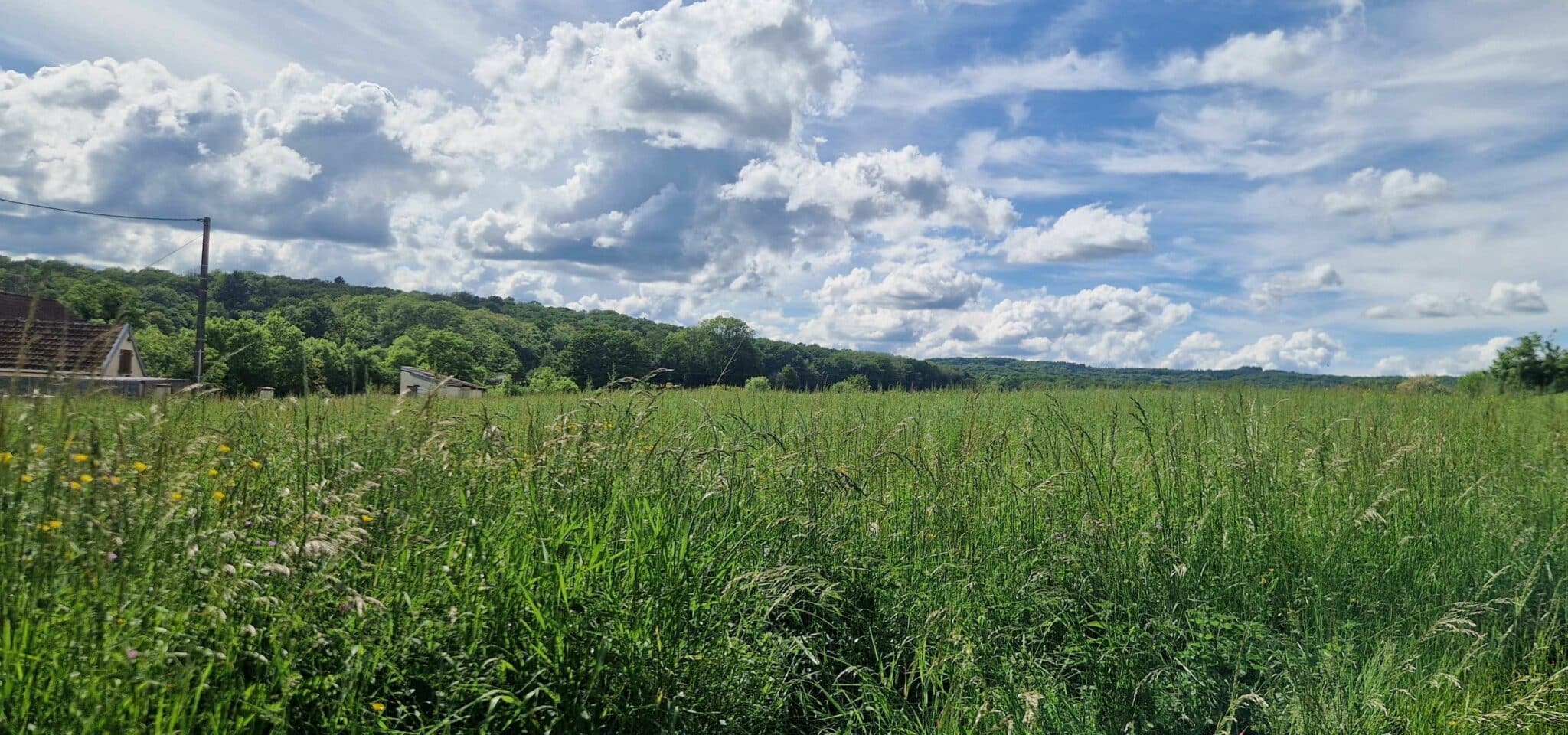 Terrain de 1 000m² à vendre à Filain (70)