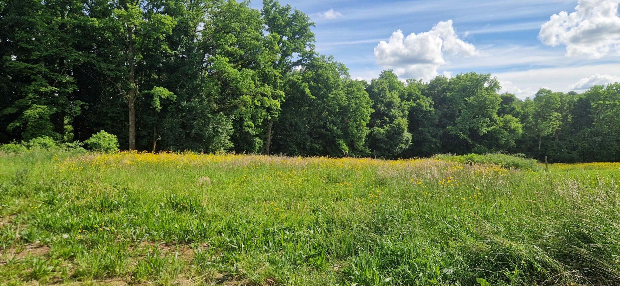 Terrain de 1 044m² à vendre à Vy-lès-Filain (70)