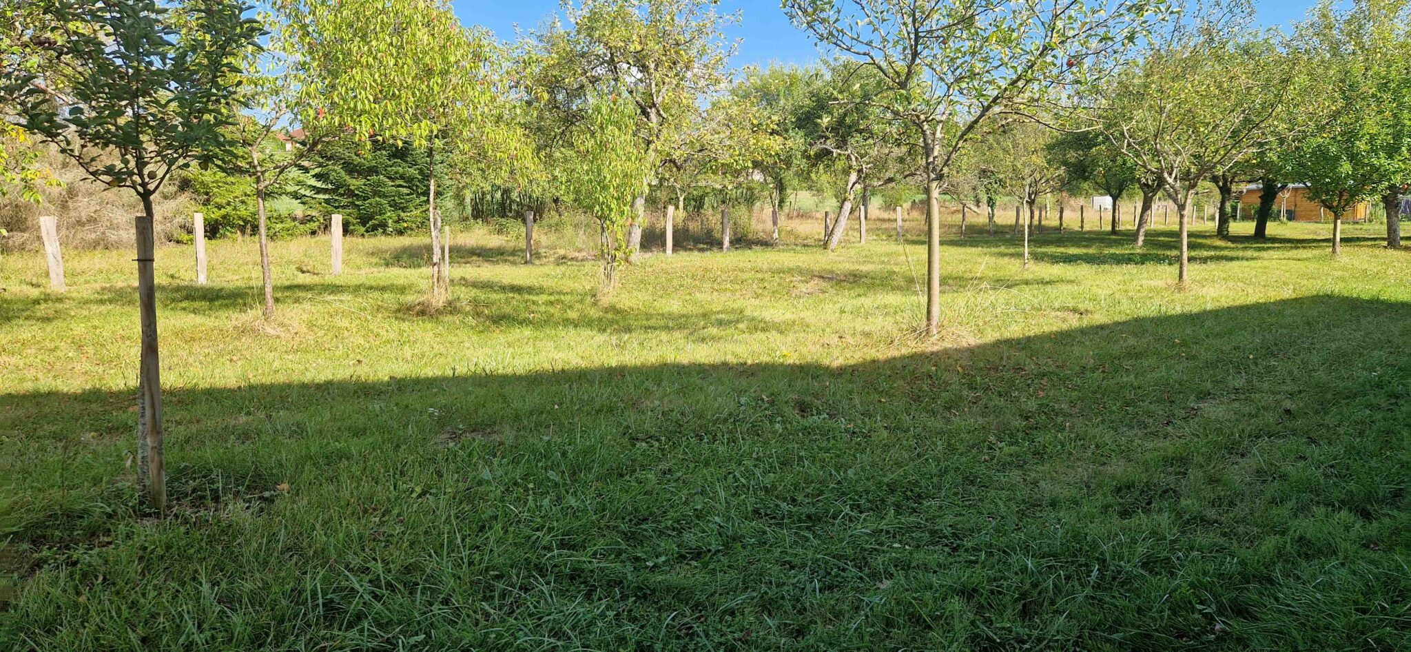 Maison + Terrain de 950 m2  à Bucey-lès-Gy