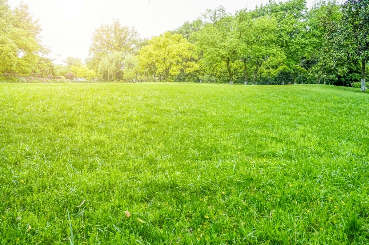 Terrain de 674m² à vendre à Marignier (74)