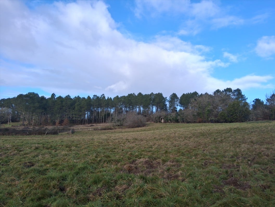 Maison + Terrain de 2 000 m2  à Fraisse