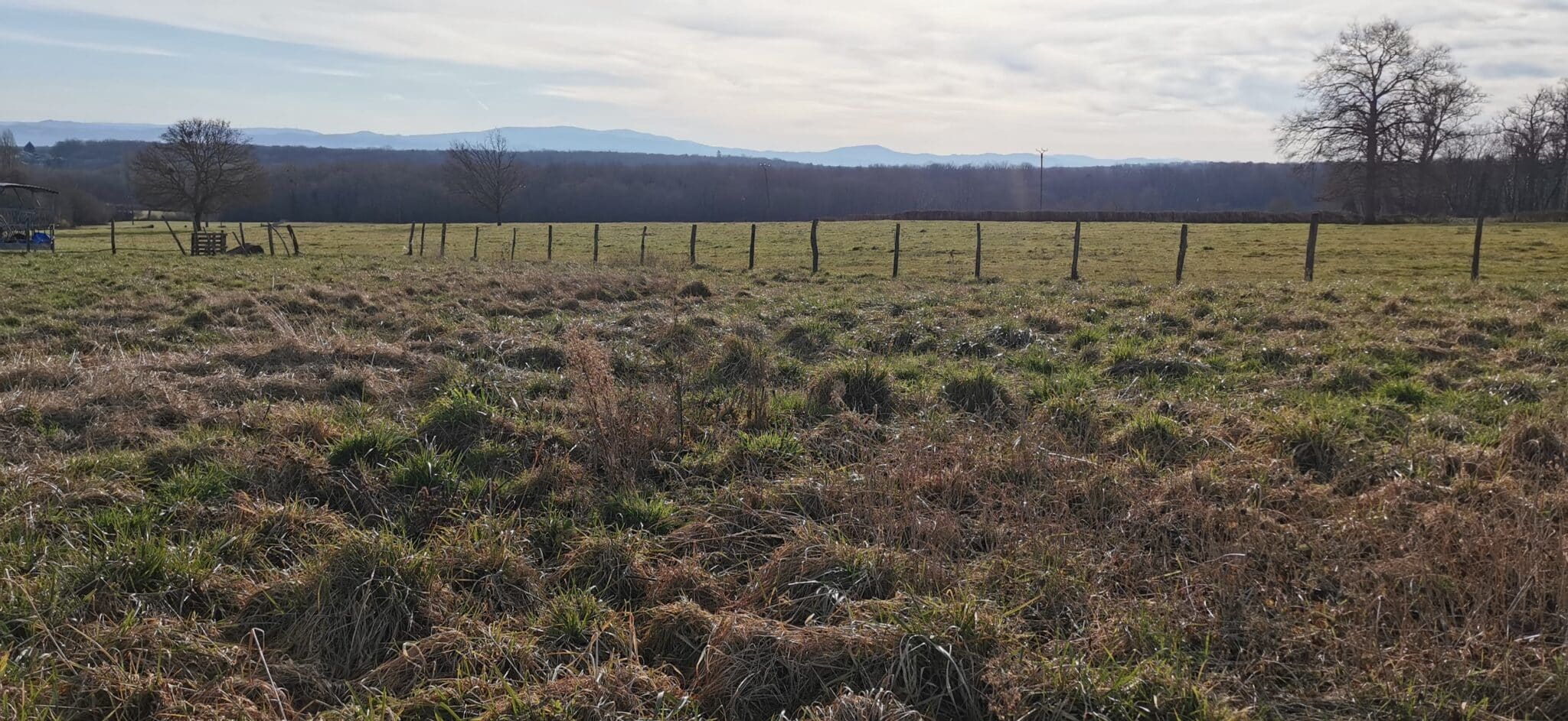 Maison + Terrain de 1 598 m2  à Saint-Sylvestre-Pragoulin