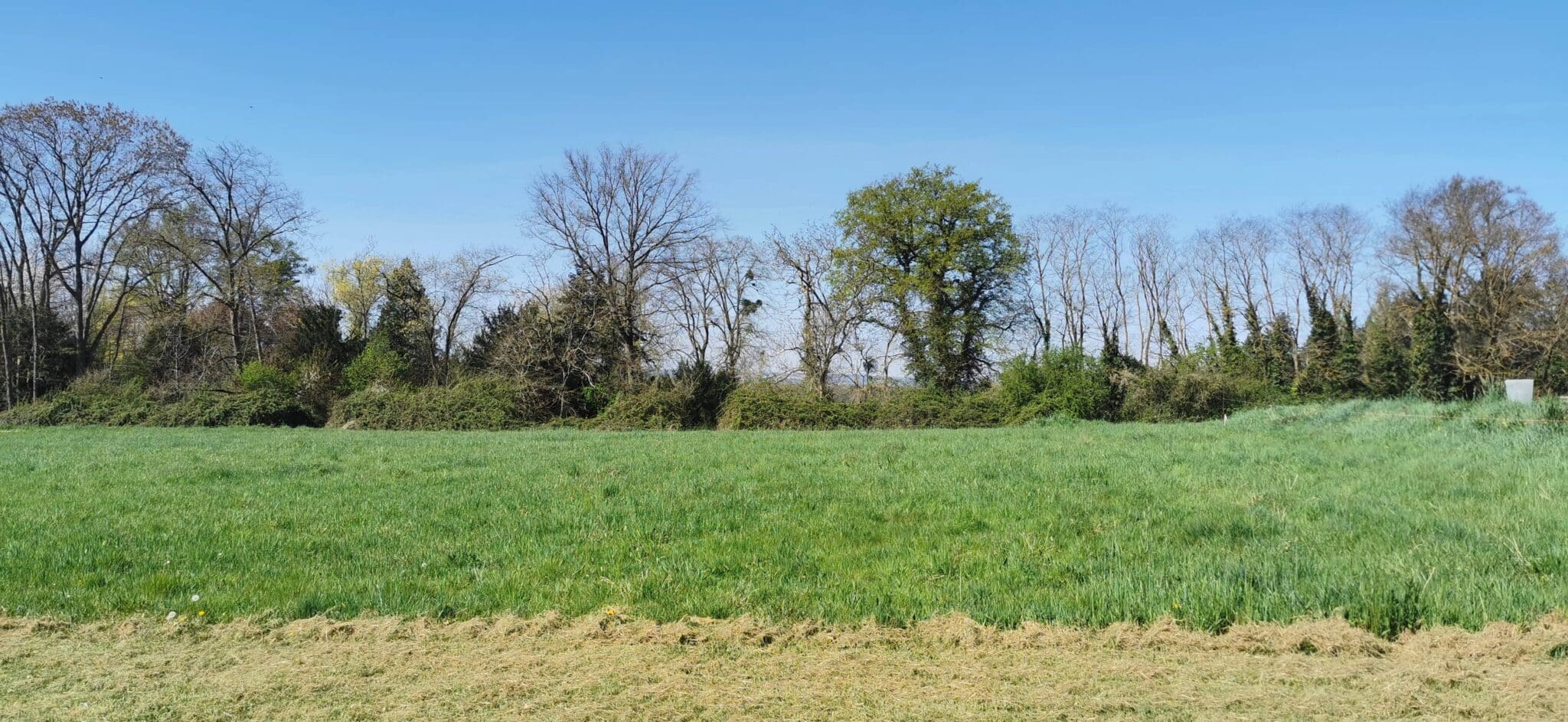 Maison + Terrain de 2 056 m2  à Varennes-sur-Allier