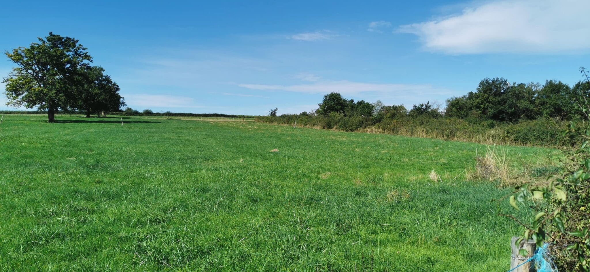 Maison + Terrain de 2 816 m2  à Meillard