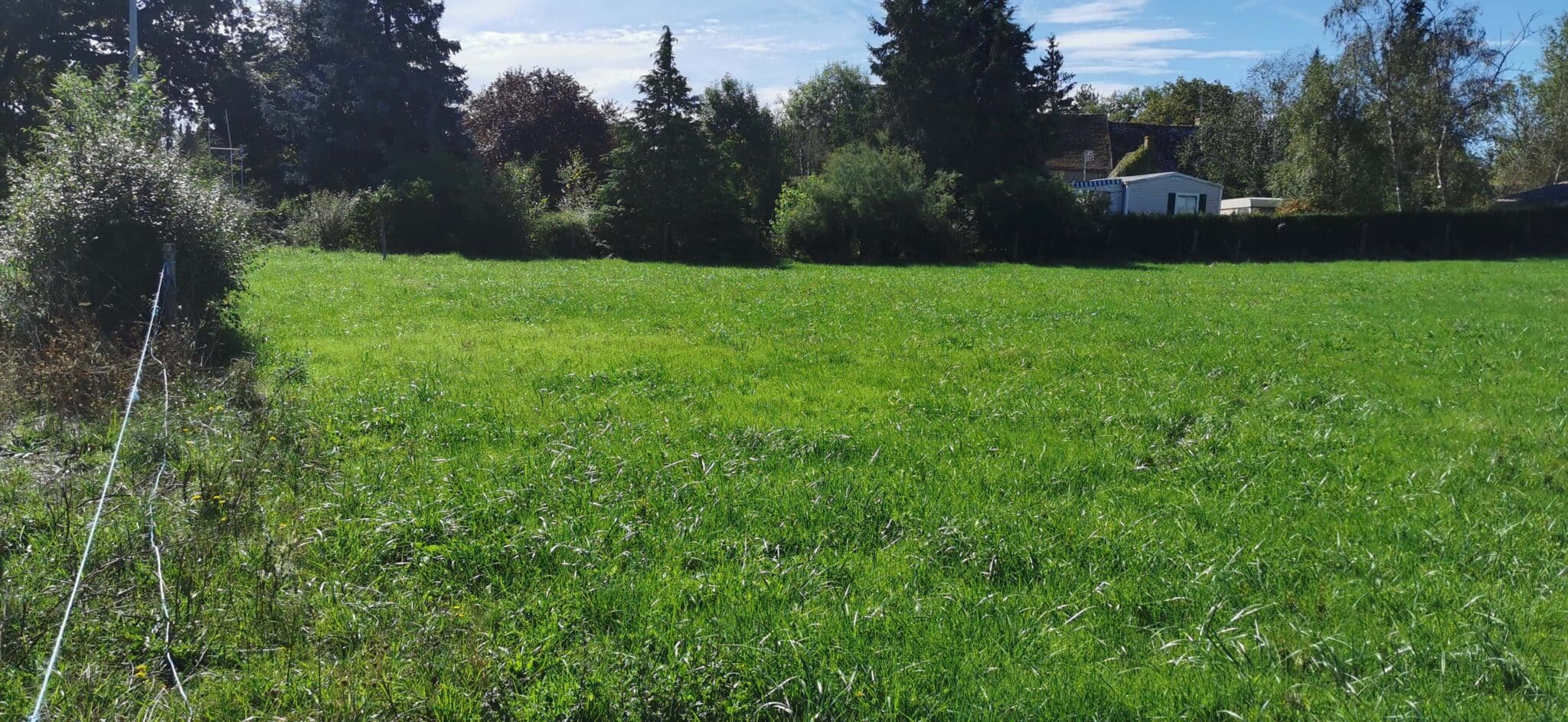 Maison + Terrain de 3 723 m2  à Meillard