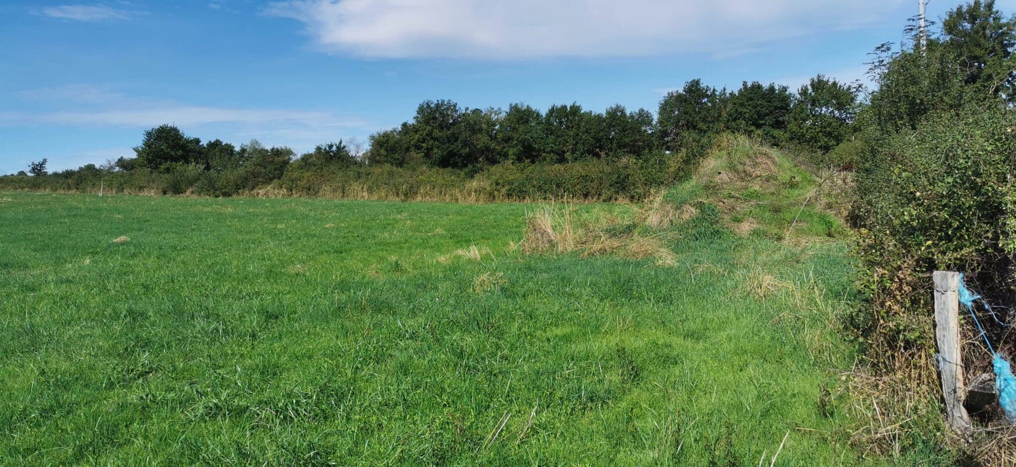 Maison + Terrain de 2 816 m2  à Meillard