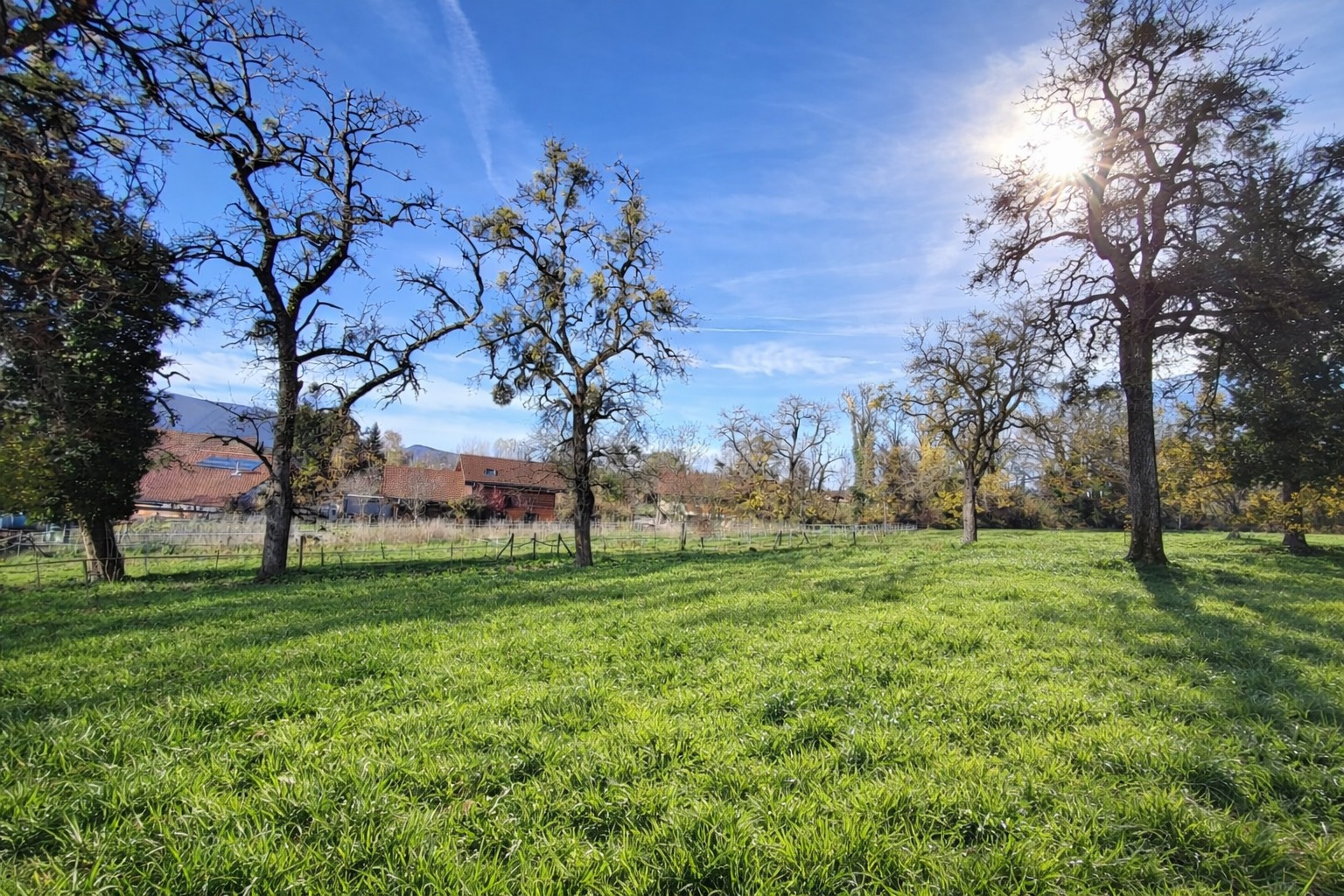 Maison + Terrain de 550 m2  à Contamine-sur-Arve