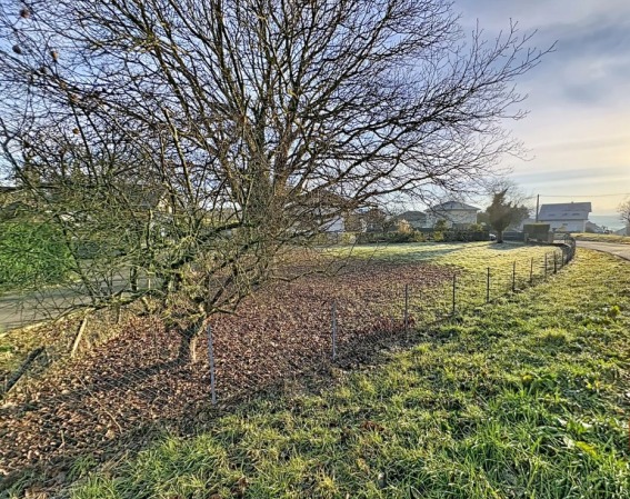 Maison + Terrain de 885 m2  à Savigny