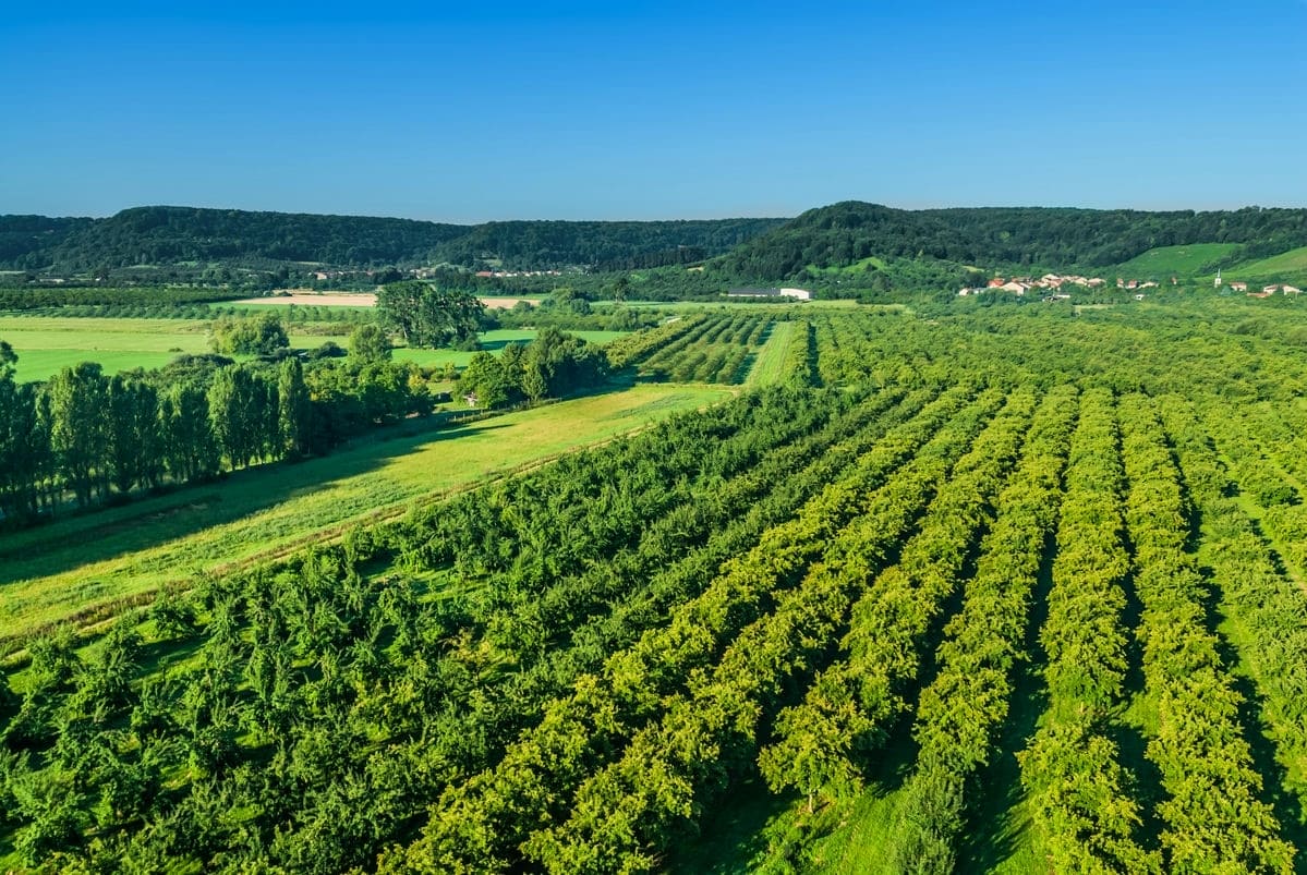 Terrain de 487m² à vendre à La Roche-sur-Yon (85)