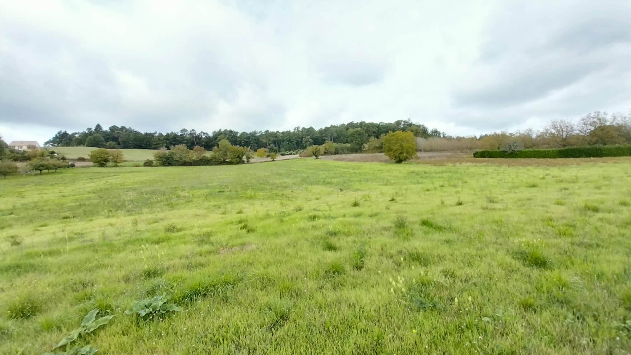 Maison + Terrain de 819 m2  à Saint-Germain-du-Salembre