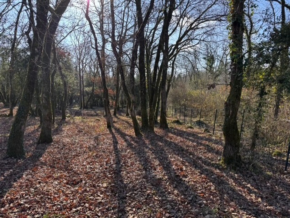 Terrain de 3 416m² à vendre à La Tour-Blanche (24)