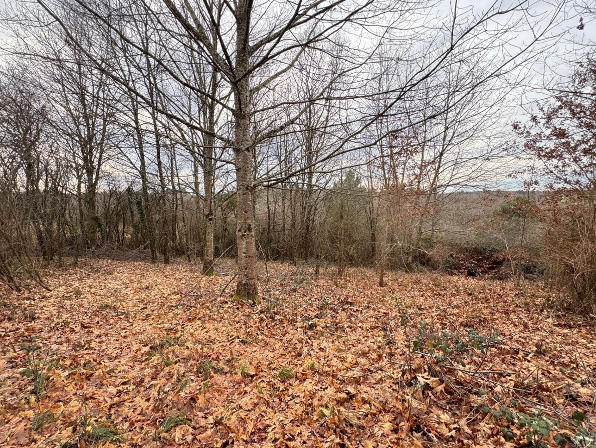 Maison + Terrain de 1 700 m2  à Agonac