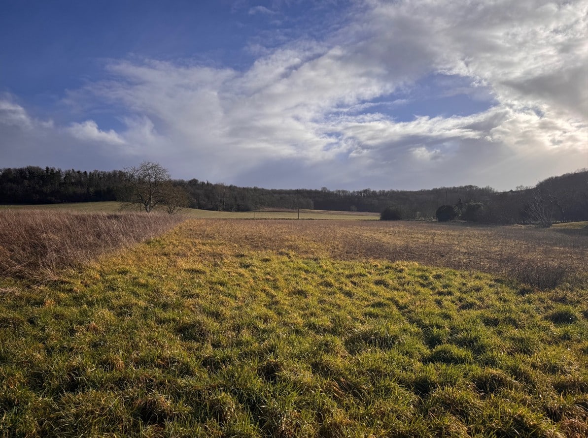 Maison + Terrain de 1 499 m2  à Champagne-et-Fontaine