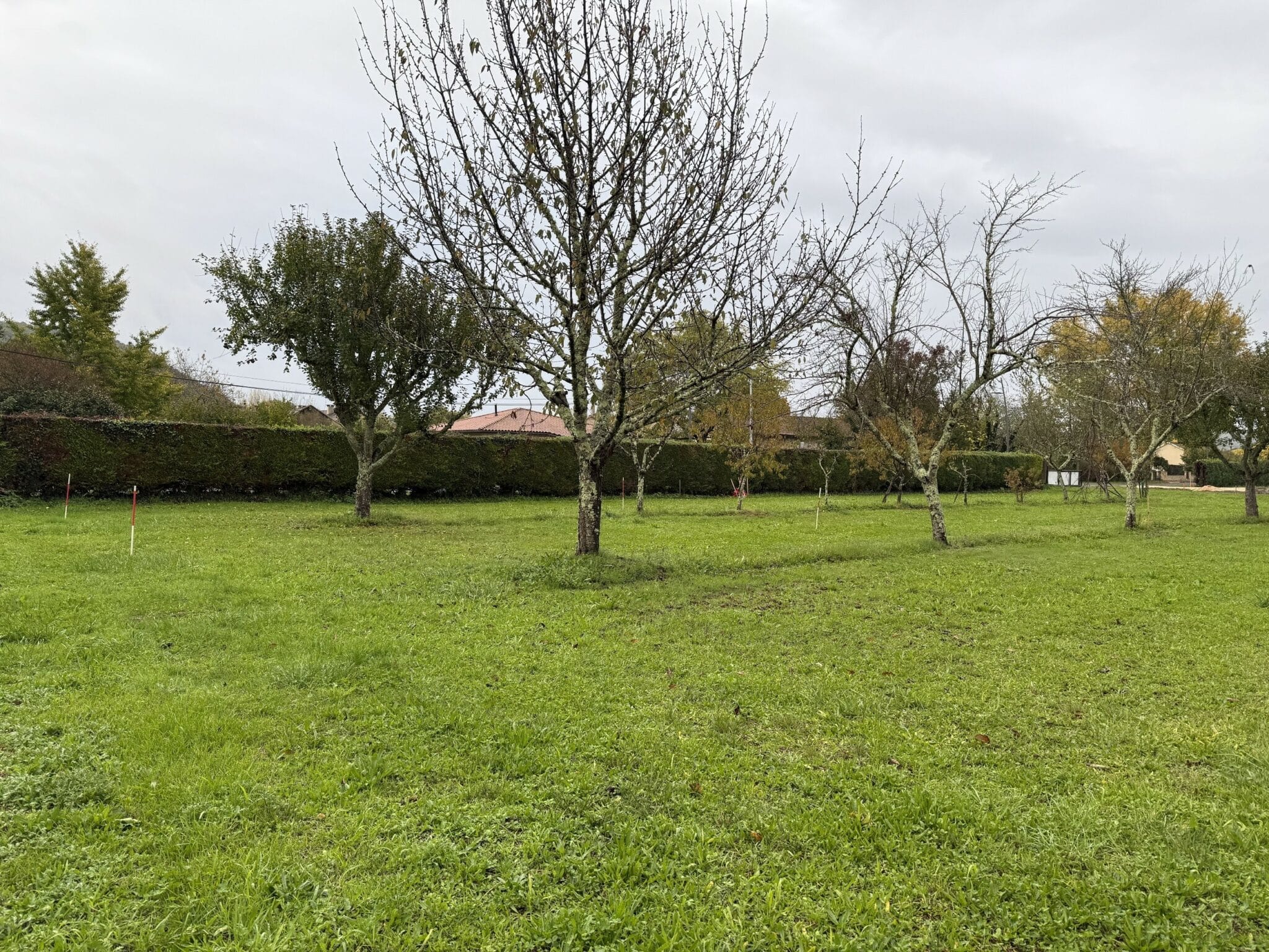 Maison + Terrain de 750 m2  à Saint-Cyprien