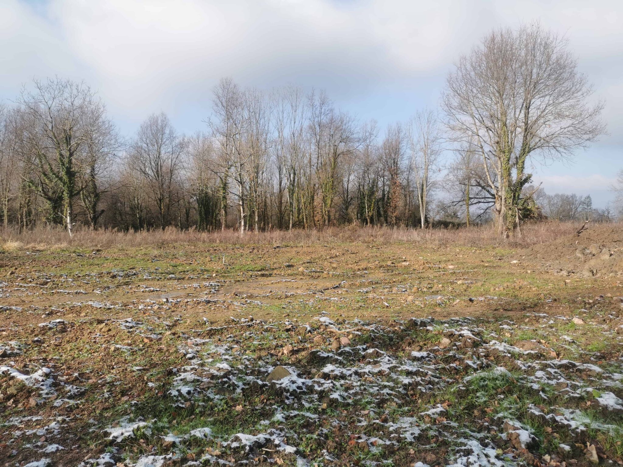 Maison + Terrain de 1 876 m2  à Saint-Étienne-de-Vicq