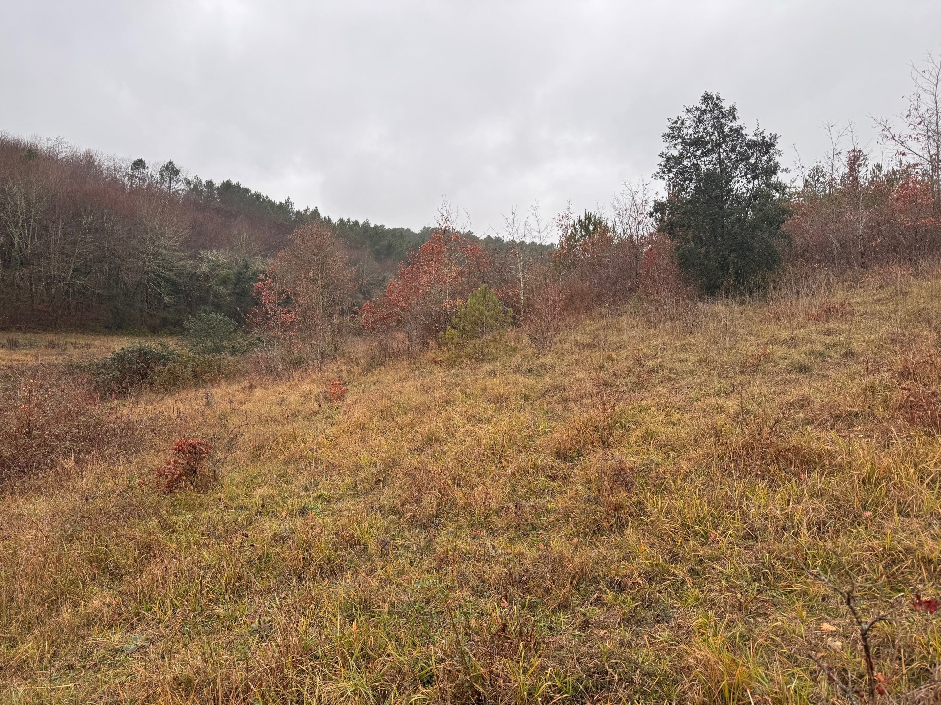 Maison + Terrain de 1 600 m2  à Trélissac