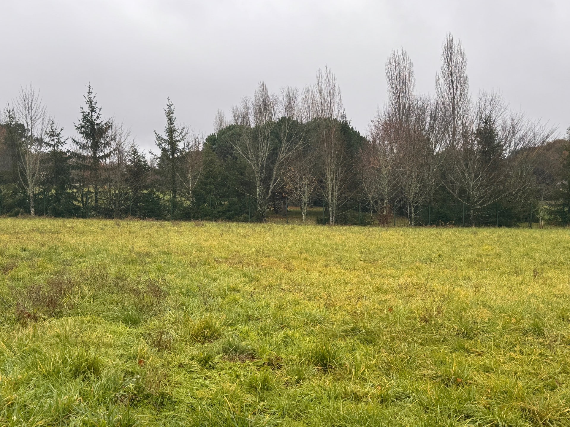 Maison + Terrain de 939 m2  à Mensignac