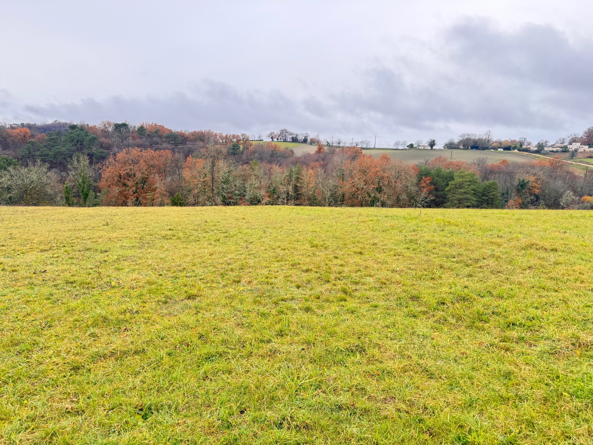 Maison + Terrain de 4 500 m2  à Trélissac
